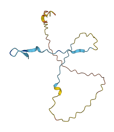 C11orf52 3D structure