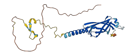 TMEM106A 3D structure