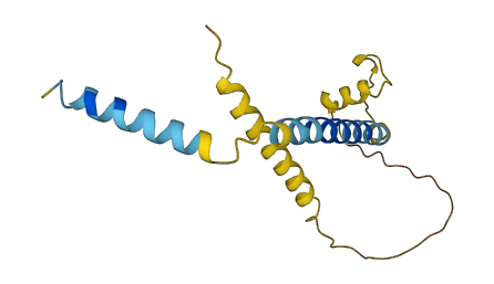 FAM162A 3D structure