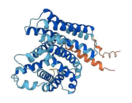 SLC35C1 3D structure