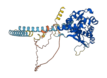 CCDC47 3D structure