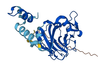 SPSB4 3D structure