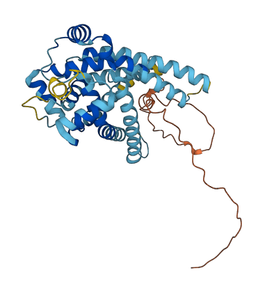 SLC25A28 3D structure