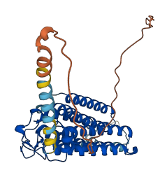 ADIPOR1 3D structure