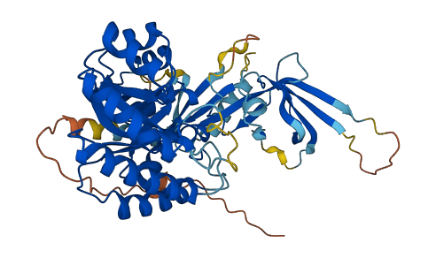 AZIN2 3D structure