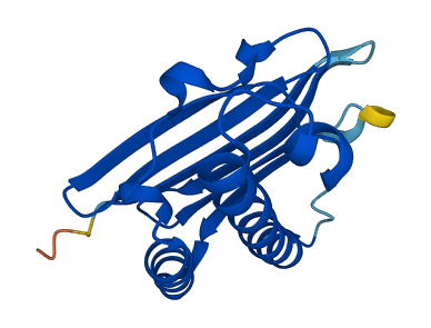 MAGOHB 3D structure