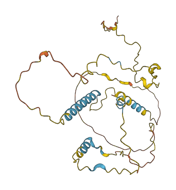 KIAA1191 3D structure