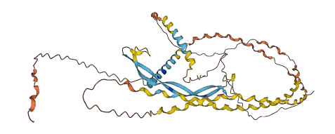 EMID1 3D structure