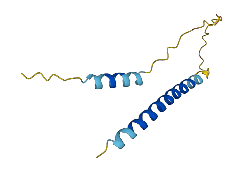 PTH2 3D structure