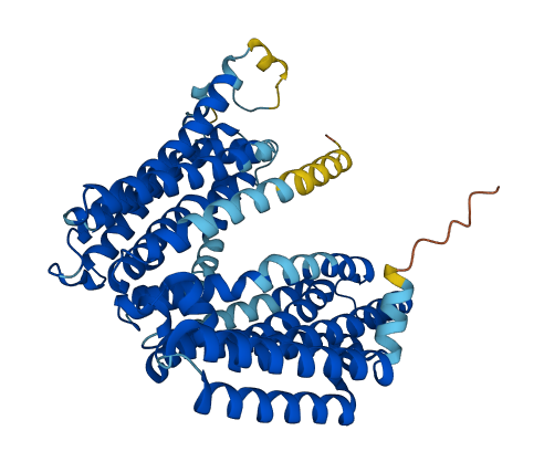 RFT1 3D structure