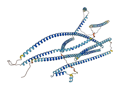 JAKMIP2 3D structure