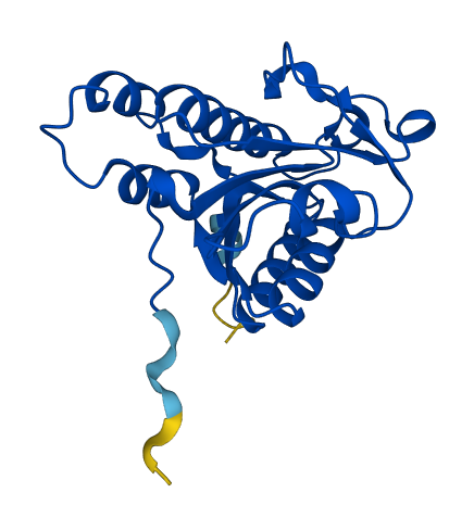 ISOC2 3D structure
