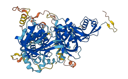 FERMT2 3D structure