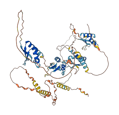 FUBP1 3D structure