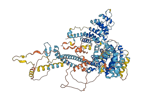 TTC17 3D structure