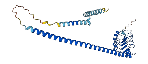 LRRC59 3D structure