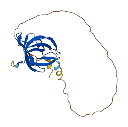 NABP1 3D structure