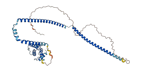 CLUAP1 3D structure