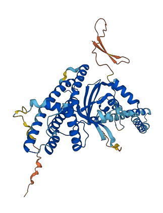 TMEM143 3D structure