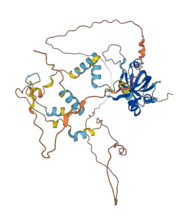 ACD 3D structure