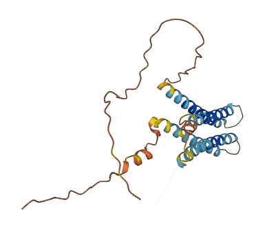 TMEM125 3D structure