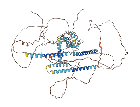 PBXIP1 3D structure