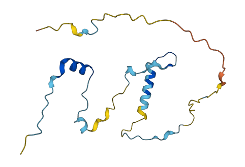 KIAA1143 3D structure