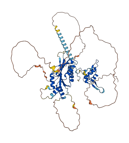 EME1 3D structure