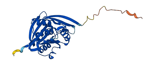 EEF1AKMT3 3D structure