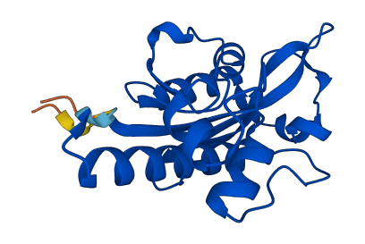 ISG20 3D structure