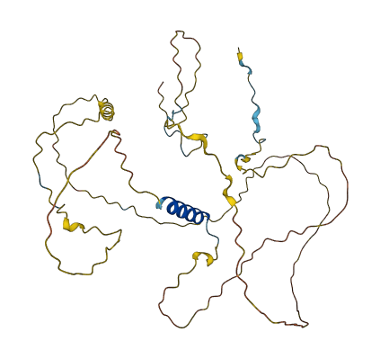 RAD51AP1 3D structure