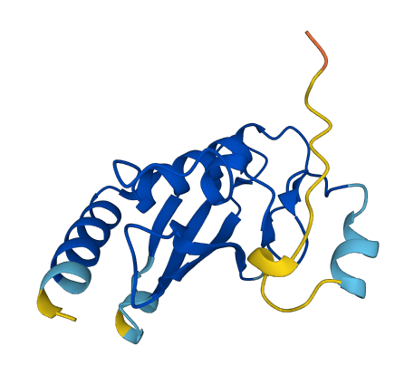 UBE2W 3D structure