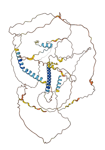 DACT3 3D structure
