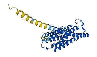 TMEM45B 3D structure