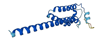 TMEM18 3D structure