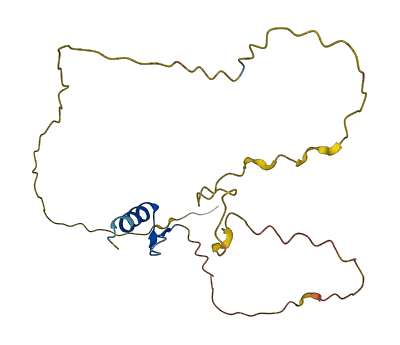 ZNF428 3D structure