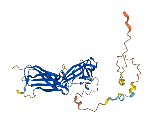 ARRDC3 3D structure
