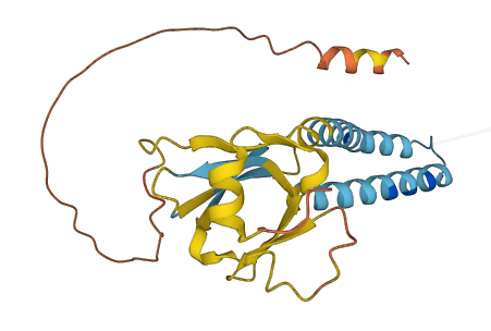 TMEM186 3D structure