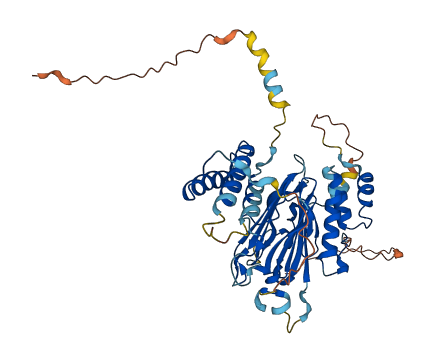 RGMA 3D structure