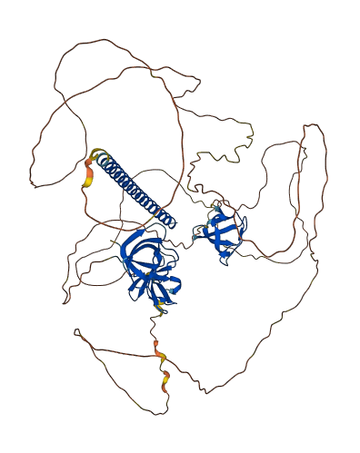 SH3KBP1 3D structure