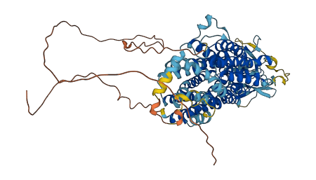 SLCO4A1 3D structure
