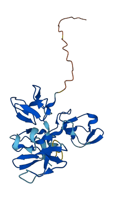 ELSPBP1 3D structure