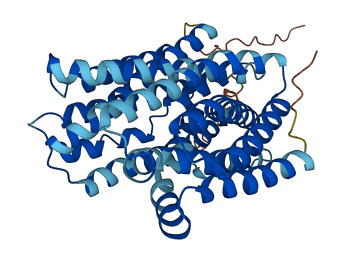 SLC22A18 3D structure