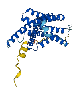 APH1A 3D structure