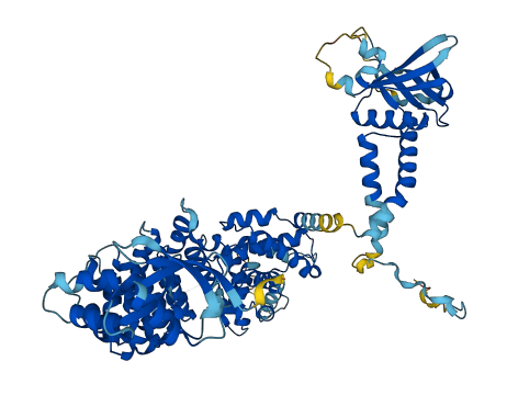 ELMO3 3D structure