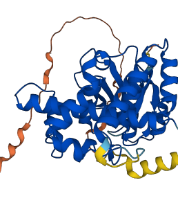 OTULIN 3D structure