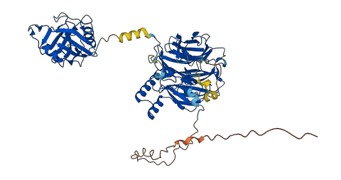 PPWD1 3D structure