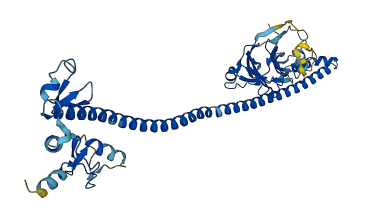 TRIM43 3D structure