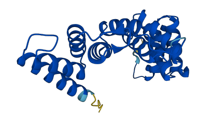 COA7 3D structure