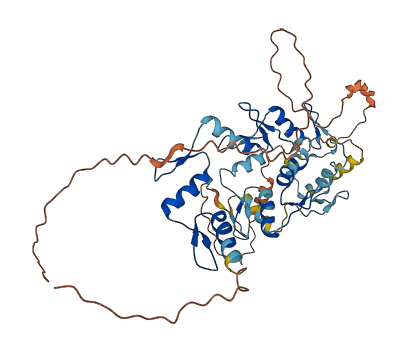 ZNF669 3D structure
